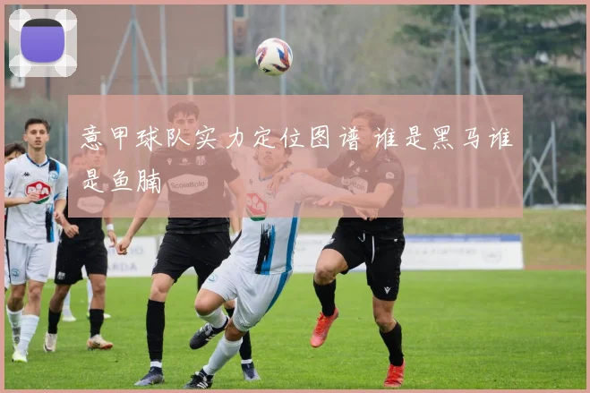 意甲球队实力定位图谱 谁是黑马谁是鱼腩