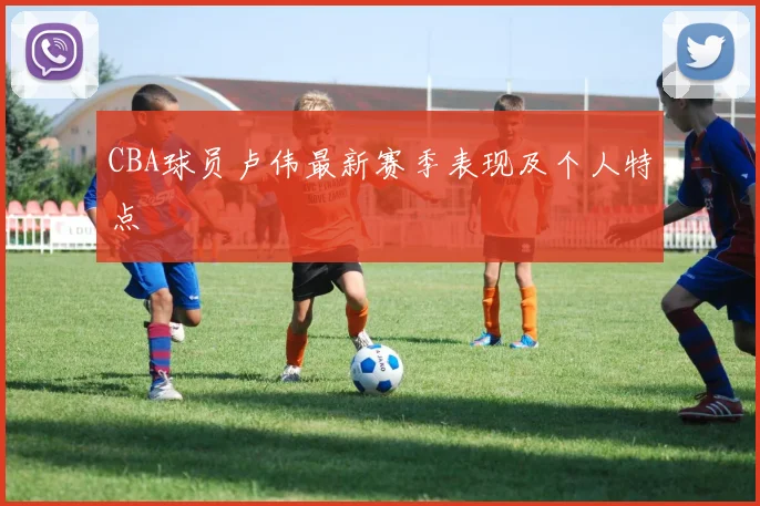 CBA球员卢伟最新赛季表现及个人特点